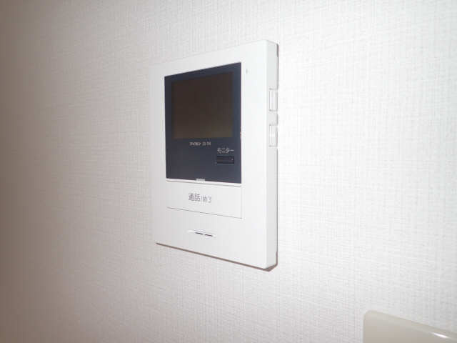 エルスタンザ原のセキュリティ