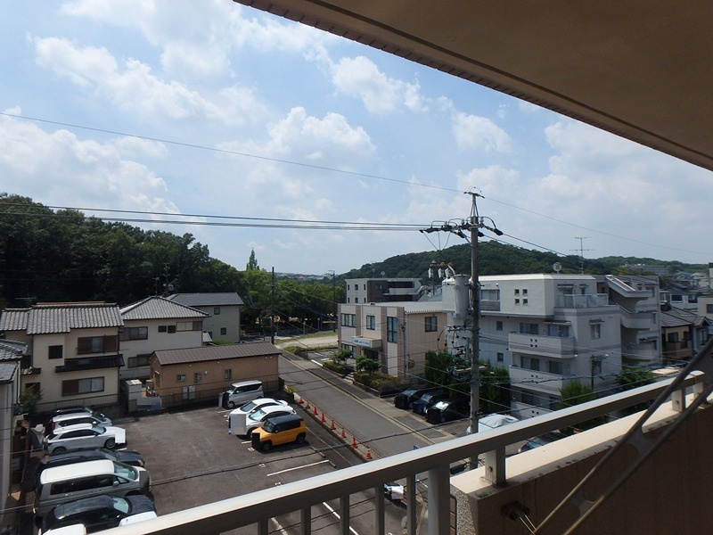 エルスタンザ原の展望