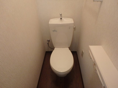 【トイレ】 | ステラハウスⅦ | トイレです
