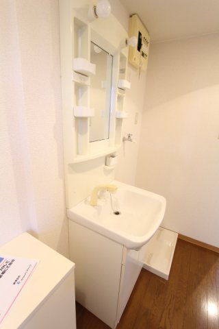 プリミエール大和通の洗面所