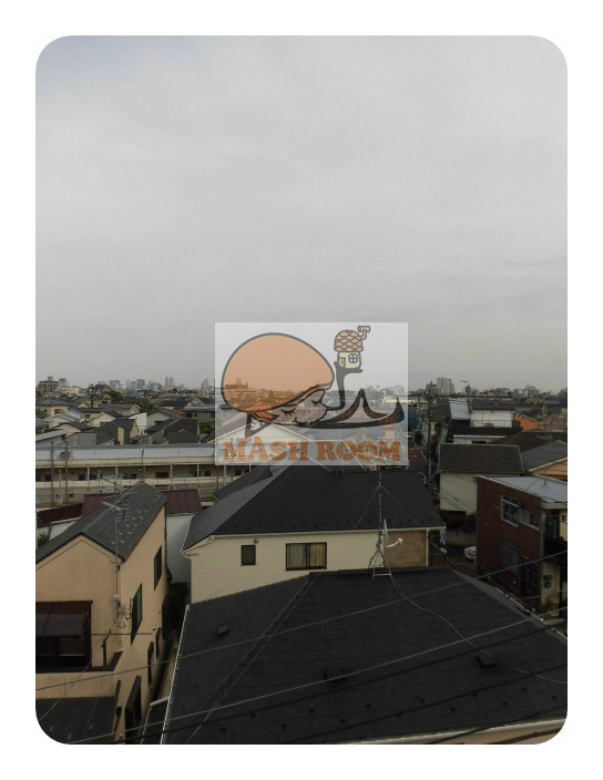 阿部コーポラスのバルコニー