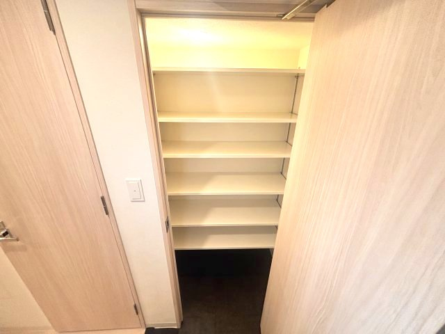 ソルテラス神戸栄町通の収納