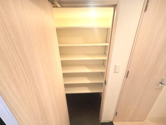 ソルテラス神戸栄町通の収納