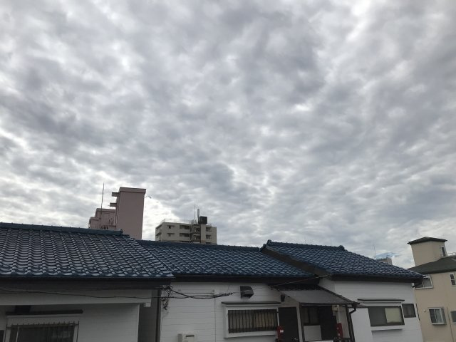 ハイツマコトCのその他