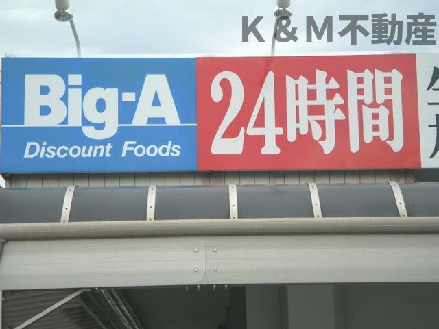 ＡＫ　ＢＬＤ．Ⅵの周辺|ビッグ・エー柏中央店まで110m 