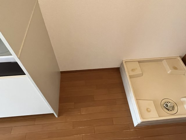 エクセレント弥生のその他