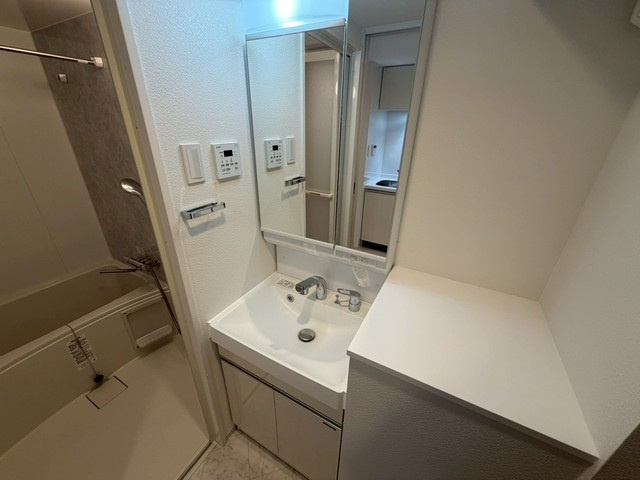 S-RESIDENCE東千田公園alesiaの洗面所|使いやすい洗面所です