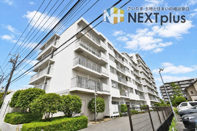 ハイツ越谷の外観|落ち着いた住宅街に馴染む、白を基調とした清潔感のある外観デザインです。総戸数100戸の規模感を誇る鉄筋コンクリート造の佇まいは、大切な家族を守る住まいとして確かな安心感を与えてくれます。