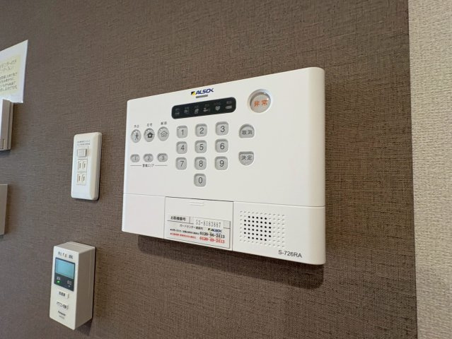 D-STELLAのその他