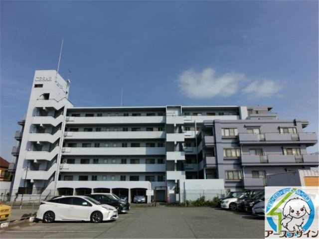 セザール加古川