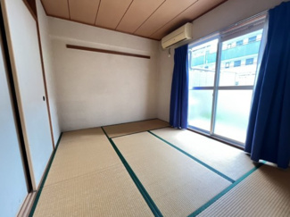  | グローバル野路