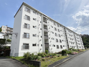 ~ペットと一緒に暮らせるマンション~杉田大谷団地15号棟の画像