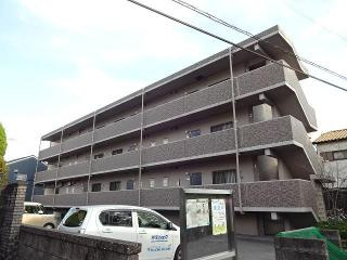 ヒコルティーレ丁野