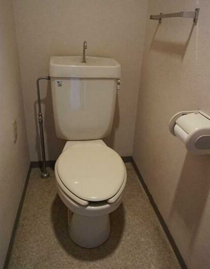 アルカディア三軒茶屋　南東角部屋　駐輪場　収納豊富のトイレ