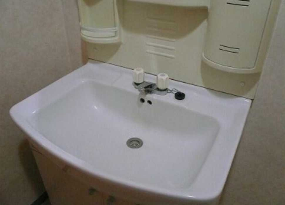 アルカディア三軒茶屋　南東角部屋　駐輪場　収納豊富の洗面所