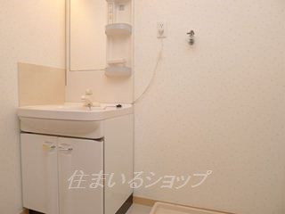 エルディム三通田の洗面所