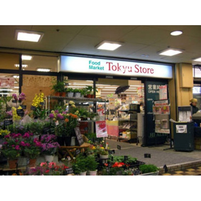 【周辺】 | グリーンベル | スーパー「東急ストア菊名店まで645ｍ」東急ストア