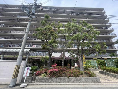 【その他】 | メゾンドール浜寺北 | ペット飼育可能！大切なペットと暮らす癒しの住まい！