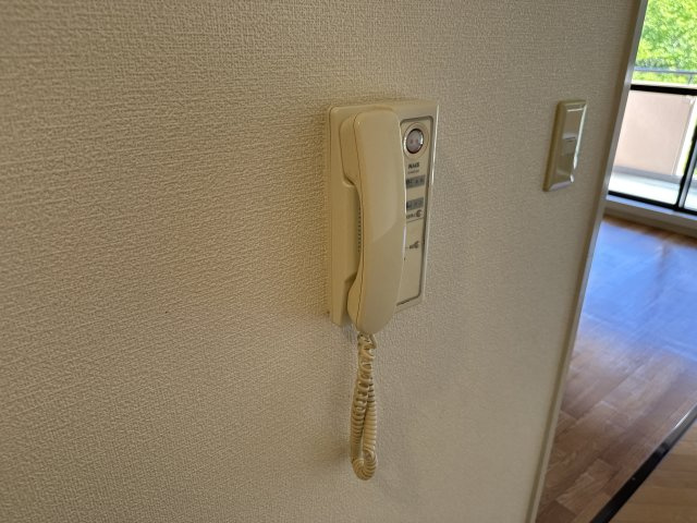 ロゼオ パラッツオのセキュリティ