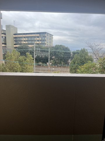 ラフレシア山崎の展望