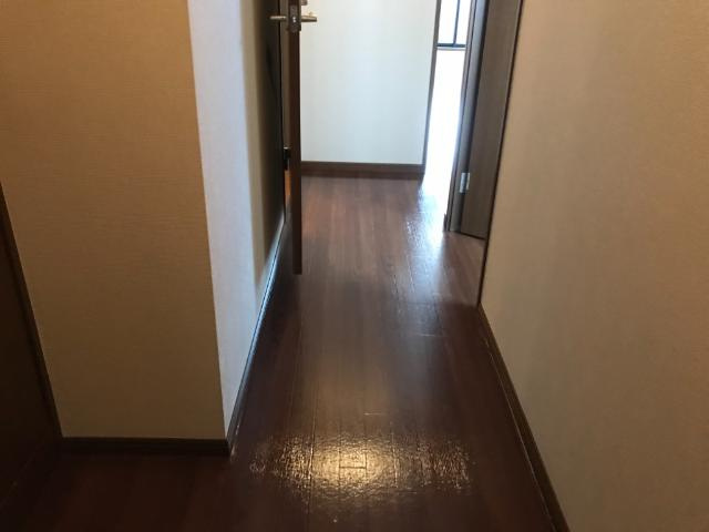 グランドールＡの内装|廊下