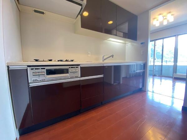ウェリスリビオ岐阜公園【11階】のキッチン