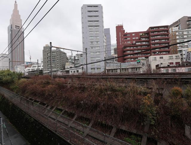 ムジーク北参道の展望