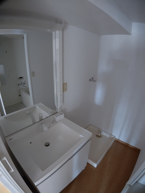 板橋区赤塚４丁目の賃貸マンションの洗面所|シャンプードレッサー