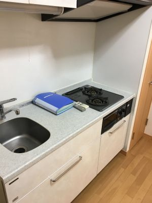 スタイル東上野のキッチン
