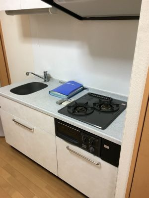 スタイル東上野のキッチン