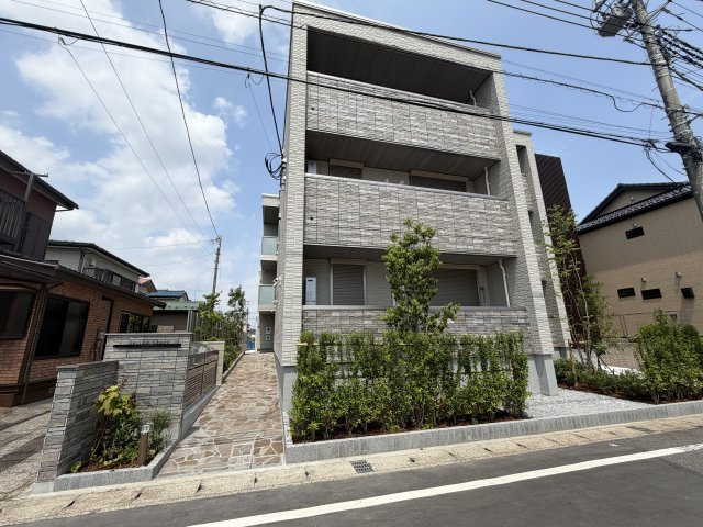 スプリング　クレスト