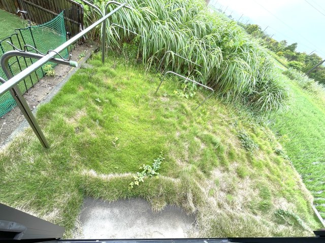 前田コーポの庭