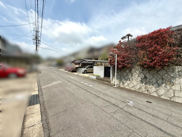岡崎市竜美東三丁目土地の前面道路含む現地写真
