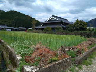 【外観】 | 多可町加美区熊野部　戸建 