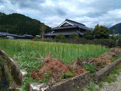 【外観】 | 多可町加美区熊野部　戸建 