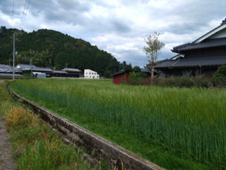 【外観】 | 多可町加美区熊野部　戸建 