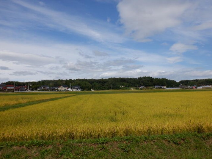 福島県相馬市程田字小堤　売地の外観