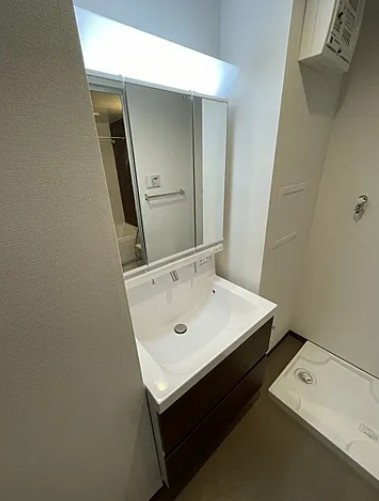 ラグゼナ平和台の洗面所