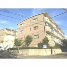 メゾン藤英 南館の画像