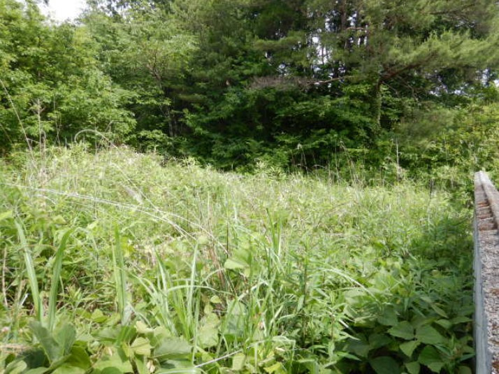 相馬市程田字小堤　売地の周辺