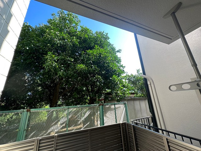 フェリス経堂の展望