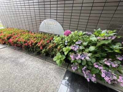 【庭】 | アドバンス山口