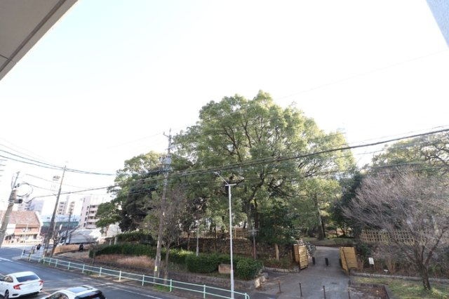 シトラスガーデンの展望