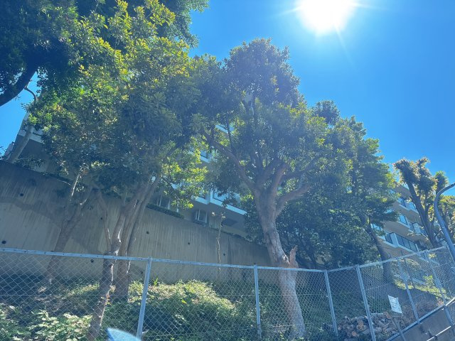 【外観】 | ネオハイツ南公園☆仲介手数料無料☆ | 「公園の緑と都市の利便が交差する。ネオハイツ南公園で叶える、オンオフ充実の毎日」