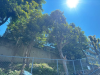 【外観】 | ネオハイツ南公園☆仲介手数料無料☆ | 人気の「南公園」エリアで、5階・南向きの開放感あふれる暮らしが始まります。周辺は落ち着いた住環境ながら、主要スポットへのアクセスもスムーズ。
