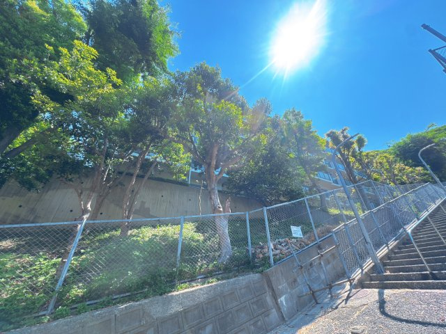 【外観】 | ネオハイツ南公園☆仲介手数料無料☆ | 物件名にも冠されている「南公園」が日常の遊び場に。休日のピクニックや朝のジョギングなど、豊かな緑がすぐそばにある暮らしは、心にゆとりをもたらします。
