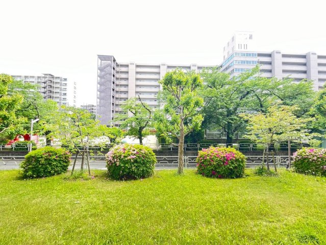 ◆リフォーム済み美室◆地下鉄東西線「東野」駅徒歩１１分◆南向き１ＬＤＫ住戸◆山科団地Ｂ棟の展望|バルコニーからの眺望