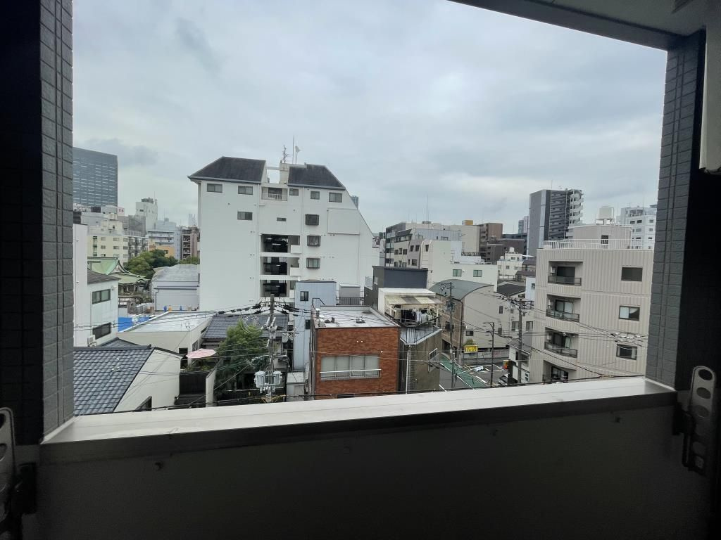 ハクユウ元町の展望