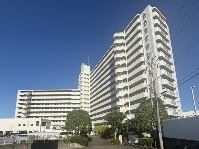 グランドール南草津　天然木フルリノベーション
