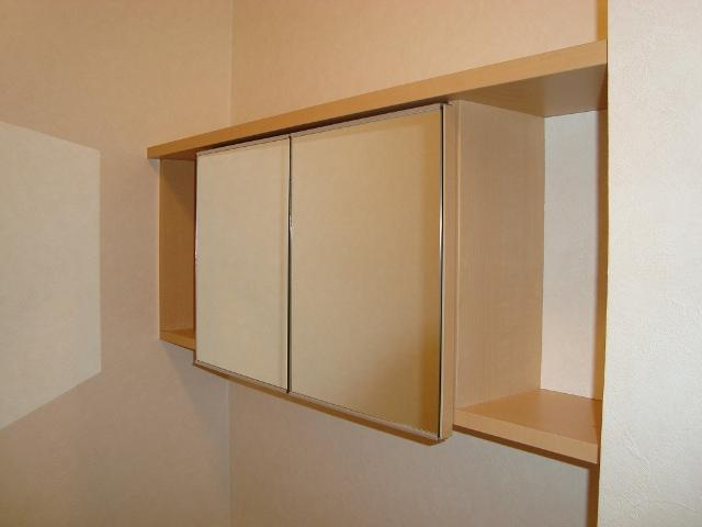 Ｈａｎａｍｉｚｕｋｉの収納|鏡付トイレ収納